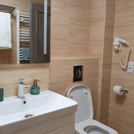 Raema Cetate Apartament Apartment *